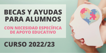 Becas para alumnos con necesidad específica de apoyo educativo - Fundación Colegio Bérriz