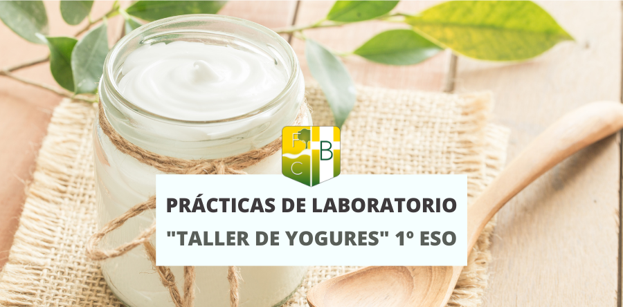 Taller de preparación de yogures 1º ESO - Fundación Colegio Bérriz