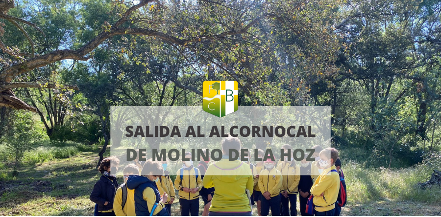 Salida al Alcornocal de Molino de la Hoz Las Rozas - Fundación Colegio Bérriz