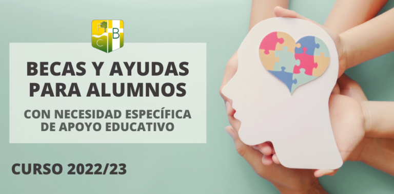 Becas y ayudas para alumnos con necesidad específica de apoyo educativo ACNEAE curso 2022-23 - Fundación Colegio Bérriz