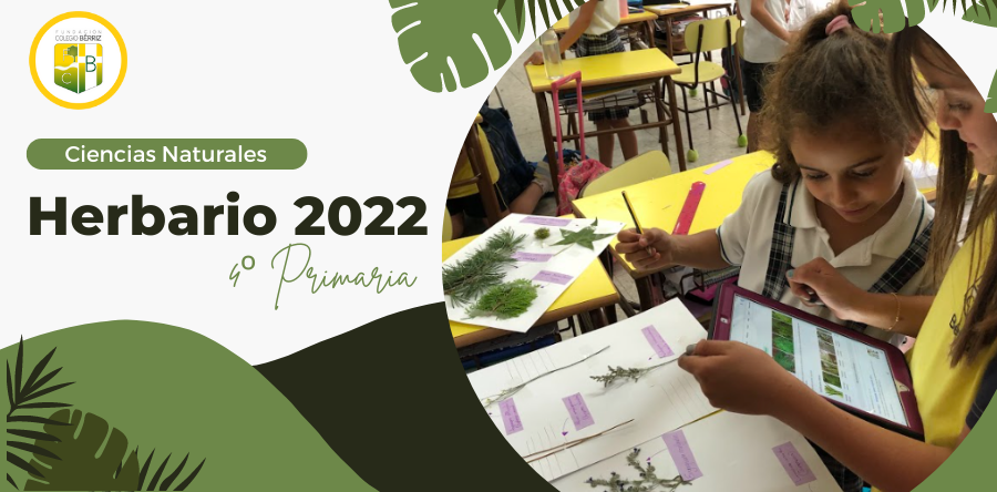Herbario de Ciencias Naturales 2022 - 4º Primaria Fundación Colegio Bérriz Las Rozas