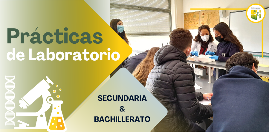 Prácticas de Laboratorio ESO y Bachillerato - Fundación Colegio Bérriz Las Rozas