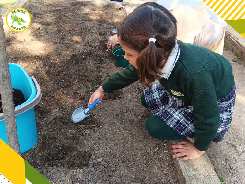 2_A plantar en el Huerto 5 años Infantil - Fundación Colegio Bérriz Las Rozas