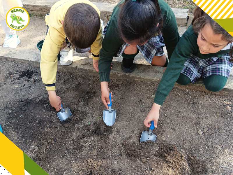 3_A plantar en el Huerto 5 años Infantil - Fundación Colegio Bérriz Las Rozas