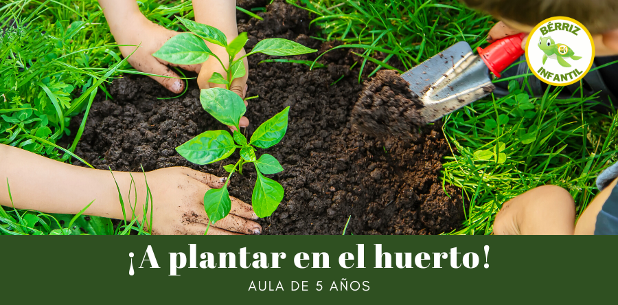 A plantar en el Huerto 5 años Infantil - Fundación Colegio Bérriz Las Rozas