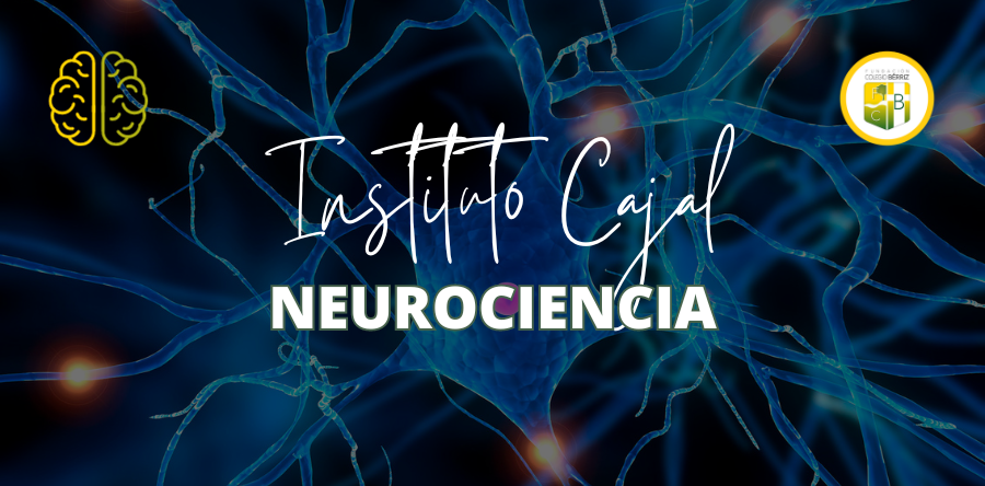 Instituto Cajal Neurociencia actual y futura 1º y 2º ESO - Fundación Colegio Bérriz Las Rozas