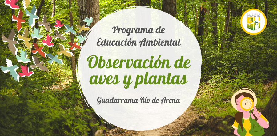 Observación de aves y plantas 4º Primaria - Ecoescuela Fundación Colegio Bérriz