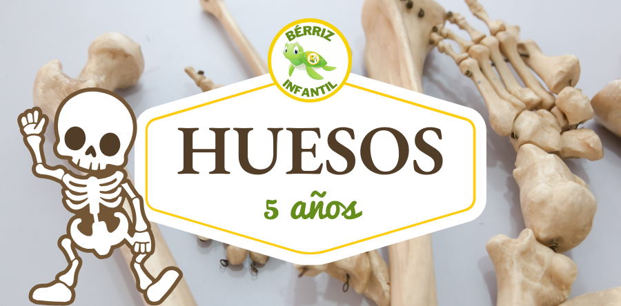 Aprendiendo sobre los huesos en Infantil - Fundación Colegio Bérriz