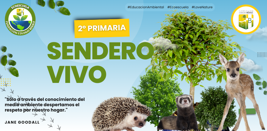Educación Ambiental en Sendero Vivo 2º Primaria - Fundación Colegio Bérriz Las Rozas