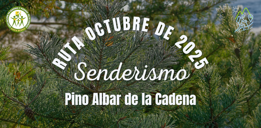 Ruta de Senderismo Octubre de 2025 - Pino Albar de la Cadena - AMPA Colegio Bérriz Las Rozas