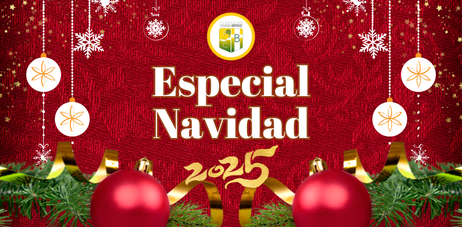 Especial Navidad 2025 - Fundación Colegio Bérriz Las Rozas