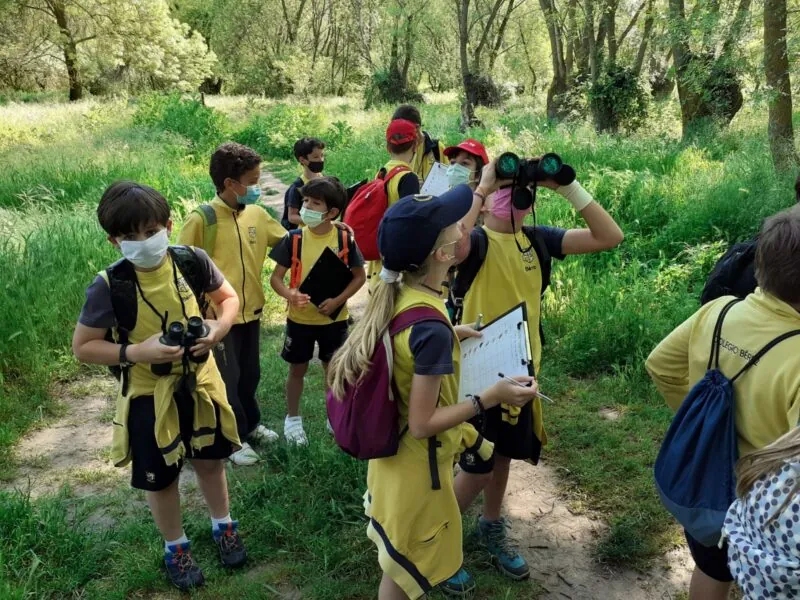 Excursión Avistamiento de Aves 5º Primaria 5 - Fundación Colegio Bérriz