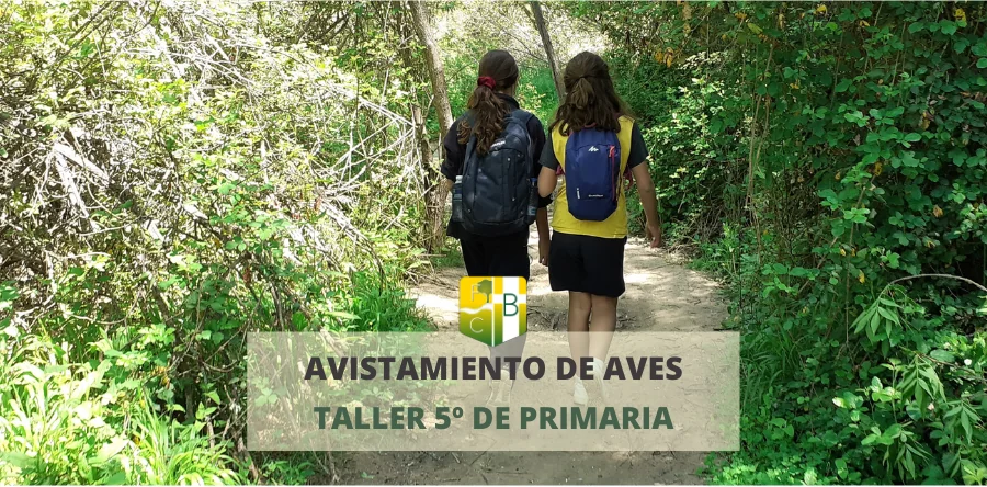 Excursión Avistamiento de Aves 5º de Primaria - Fundación Colegio Bérriz