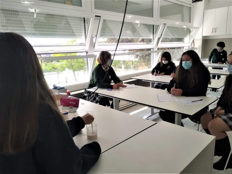 Taller de preparación de yogures 1ºESO 1 - Fundación Colegio Bérriz