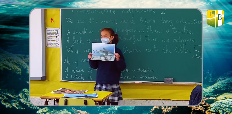 Sharks, 3º Primaria - Fundación Colegio Bérriz