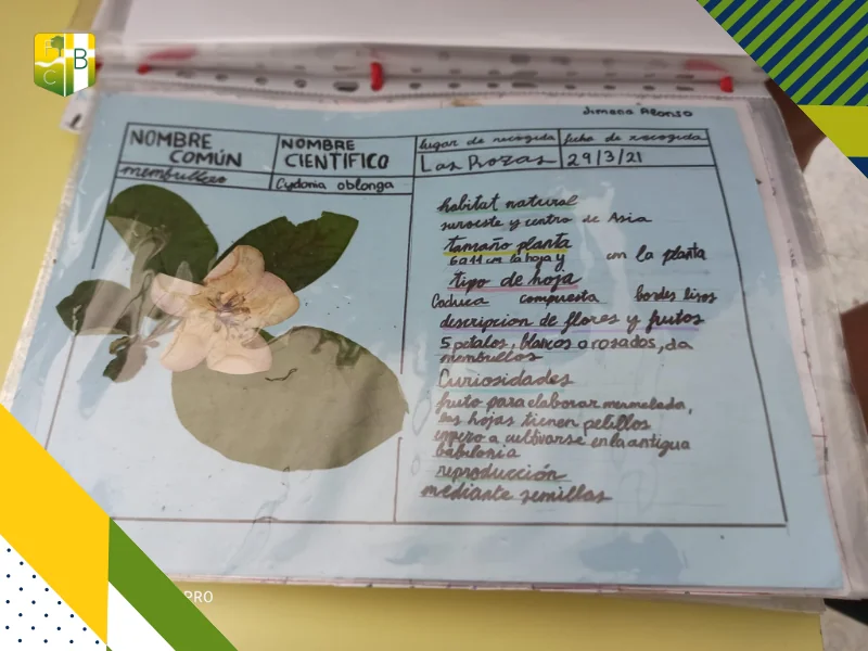 Cómo elaborar un herbario - Fundación Colegio Bérriz