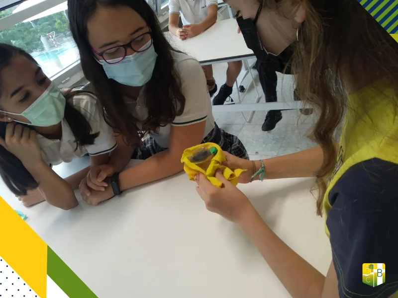 Taller Cambios Físicos y Químicos 3 - Fundación Colegio Bérriz