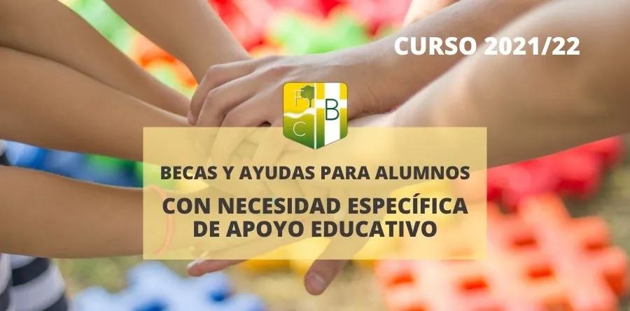 Becas alumnos necesidades específicas de apoyo educativo - Colegio Bérriz
