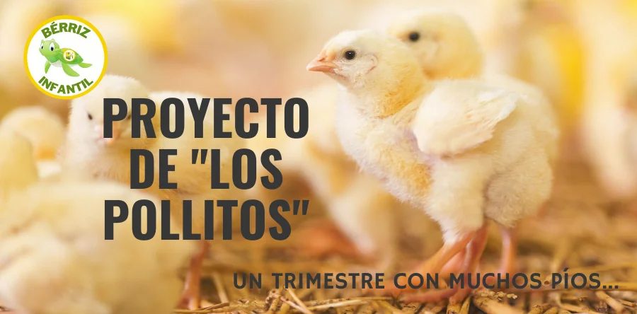 Proyecto de Los Pollitos Infantil - Fundación Colegio Bérriz